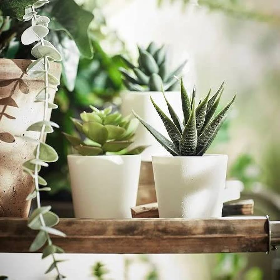 【IKEA/FEJKAフェイカ】人工サボテン　鉢カバー付き Amazon｜IKEA/イケア FEJKA/フェイカ：人工観葉植物 鉢カバー